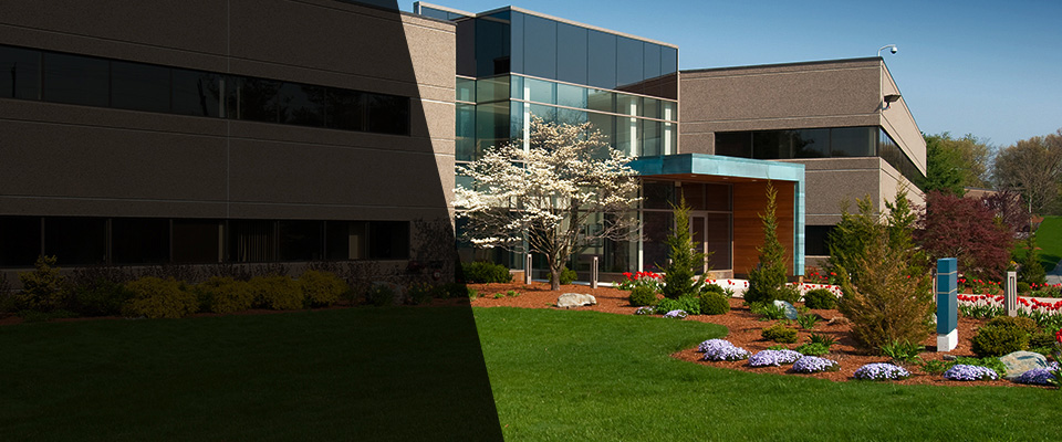 Old Saybrook Landscapers