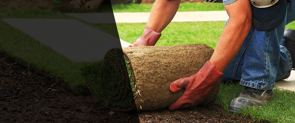 Old Saybrook Landscapers